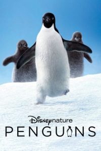 Penguins (2019) เพนกวิน HD เต็มเรื่อง ดูหนังสารคดีล่าสุด