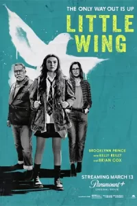 ดูหนัง Little Wing (2024)