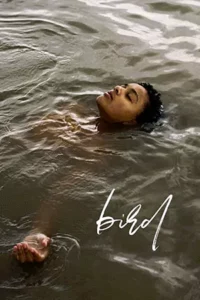 ดูหนังออนไลน์ฟรี Bird (2024)