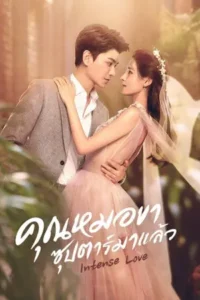 ดูซีรี่ย์ออนไลน์ Intense Love (2020)